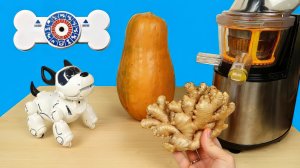 Сок из Имбиря и Тыквы! Робот щенок PupBo для Насти на Новый Год! alex boyko