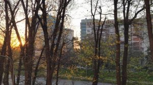 Утро начинается. 06.04.26