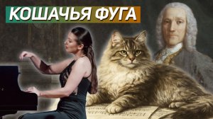 Кошачья фуга, дуэль и 555 сонат — самый необычный композитор барокко