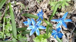 Железноводск. 03.04.26.