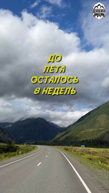 До лета- 8 недель. Ты уже знаешь куда едешь?