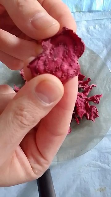 Свекольные фрипсы