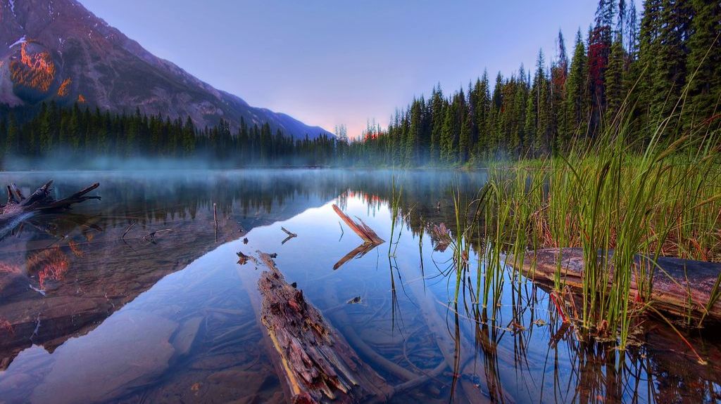 Коран сура  Фатир чтец Мухаммад аль-Факих