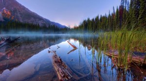 Коран сура  Фатир чтец Мухаммад аль-Факих