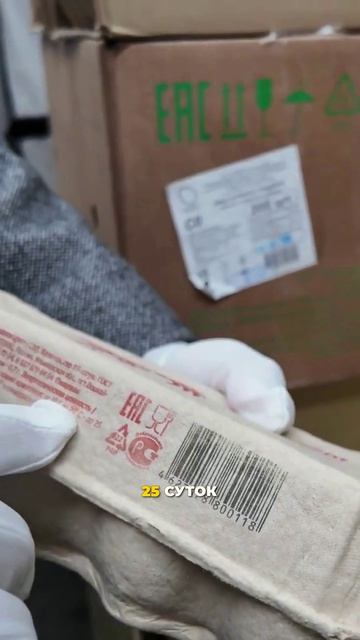 ЯЙЦА «ДО 2026» ОКАЗАЛИСЬ ТУХЛЫМИ… ПОЛИЦИЯ УЖЕ ВЫЗВАНА #проверка