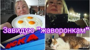 06-04-2026 Снова гуляю по Североморску * Каждый пишет то, что из него льётся * Завтрак