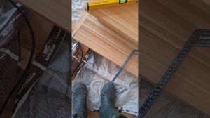 1000055142.mp4 (Собака наблюдает за устройством лестницы на 2-ой этаж в доме А-фрейм)