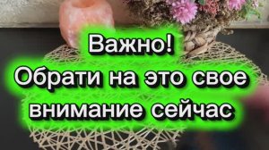 На что важно обратить внимание сейчас 🔆❤️🔥🔮Таро