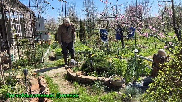 06.04.26 г .Наш сад в апреле.Много работы .Будет новая переделка .