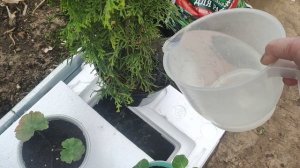 МЫЛО МАЧАЛО 😯😃НАЧИНАЙ С НАЧАЛО🙋.А Я ОПЯТЬ ХВАЛЮСЯ,С ЛУНЫ СВАЛЮСЯ💯☀️☀️☀️😂