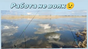 Не дали поработать 😏