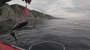 Ловля кеты. Рыбалка в Приморье!