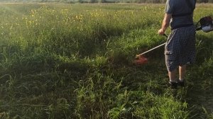 SG230 Стриж Lite косим луговую траву 2