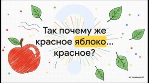 Как предметы отражают свет. Естествознание.