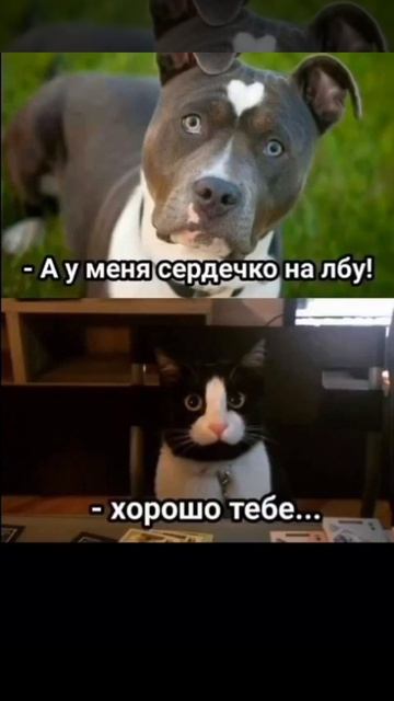 Подписываемся 😉