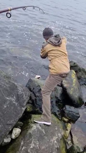 Минтай и Бычок на пилькер №3 от Mr. Musurok