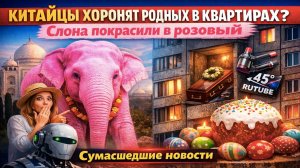Квартира вместо могилы, розовый слон, шутки Dyson и Rutube, нейросеть-спасатель и пасхальный гигант