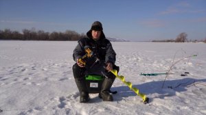 Налим - хитрая рыба. р.Кама, Нижнекамск, февраль