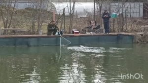 Рыбка в Липках!