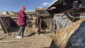 Как предохраняться от нежелательного потомства