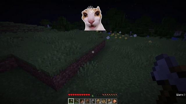 Minecraft: волк догоняет скелета.