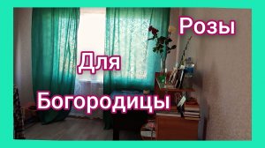 Страстной Понедельник
Готовлю и общаюсь)