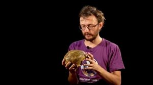 Денисовский человек.  Что о нём известно и где нашли. Станислав Дробышевский