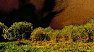 По высыхающей траве...