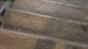 Теорема ЖКХ_Подъезд_2026.04.06_15-10