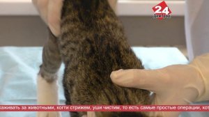 Главные новости любимого города 06.04.2026