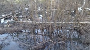 работа бобров