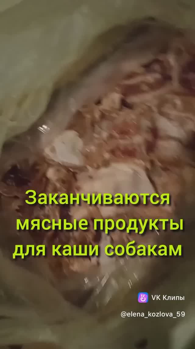 Ну очень культурные попрошайки вкусного #мойпитомец #моибудни #постсовкусом #еда