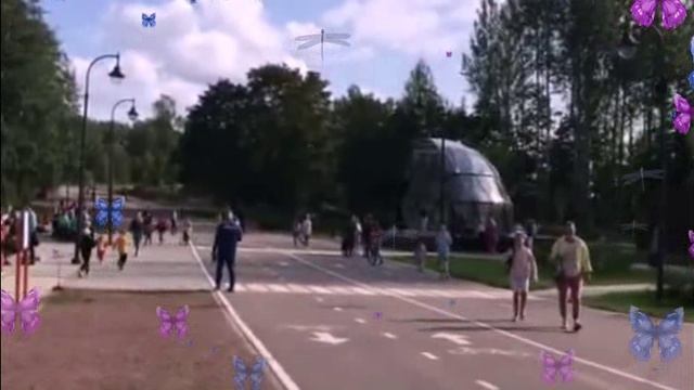 Проект 1_208