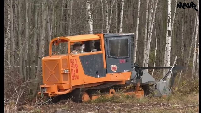 Лучшее из лесозаготовок