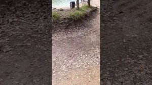 Кипарисовое озеро Сукко 5 Апреля 2026 года. Репортаж Светланы Тихоновны.