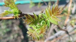 ДОБРЫЙ ДЕНЬ ВСЕМ. ХОРОШЕГО ДНЯ.. ПУСТЬ КАЖДЫЙ ДЕНЬ ВАС РАДУЕТ. **ЗАБЕРИ МЕНЯ**✈️✈️✈️