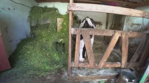 Влог от 01.07.2022