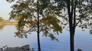 Петродворец. Прогулка по Нижнему парку. 1.10.25.