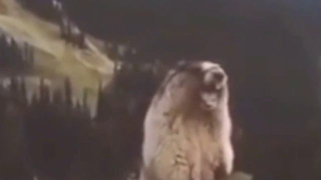 Коротко о моих друзьях в (DDPS X)