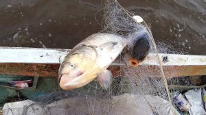 Крутая Русская Зимняя Рыбалка 2026 Ловлю Сеткой Сазан, Сиг и другая Рыба. Лучшая Рыбалка 2026 Онлайн