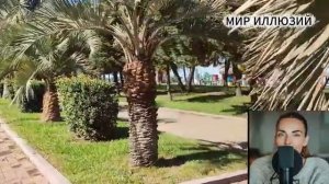 Булавка на удачу