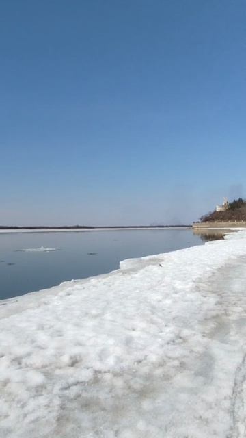Самолеты - на запад, утки - на север