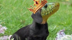 Маенкрафт 3