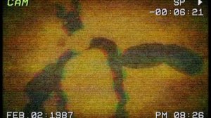 Bon's comparation dance. 邦的比较舞蹈