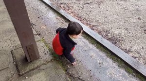 Дождь это весело