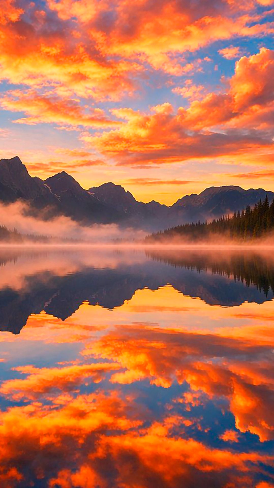 ✨ ЧАРУЮЩАЯ АРФА 🎵 УСПОКАИВАЮЩАЯ МУЗЫКА ДЛЯ СНА 🎵 ОЧЕНЬ КРАСИВАЯ РАССЛАБЛЯЮЩАЯ МУЗЫКА ДЛЯ ДУШИ