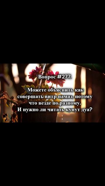 #Вопрос   #требование_знаний #ахлисунна #полезные_знания