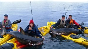 Рыбалка, охота и пакрафт. Подкаст