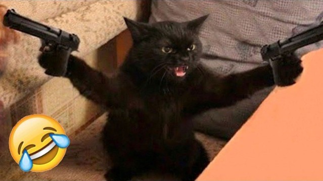 Приколы с животными🤗 Смешные видео про животных 🤗СМЕШНОЕ ВИДЕО😍 Наши любимые смешные животные