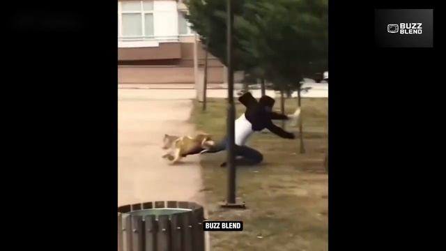 Funny Videos Try Not To Laugh_ Funny Fails Compilation 😂 Pt 15